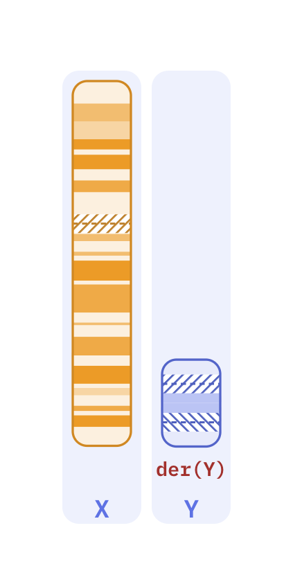 Karyotype of Isodicentric Y chromosome (46,X,idic(Y)(q11.2))
